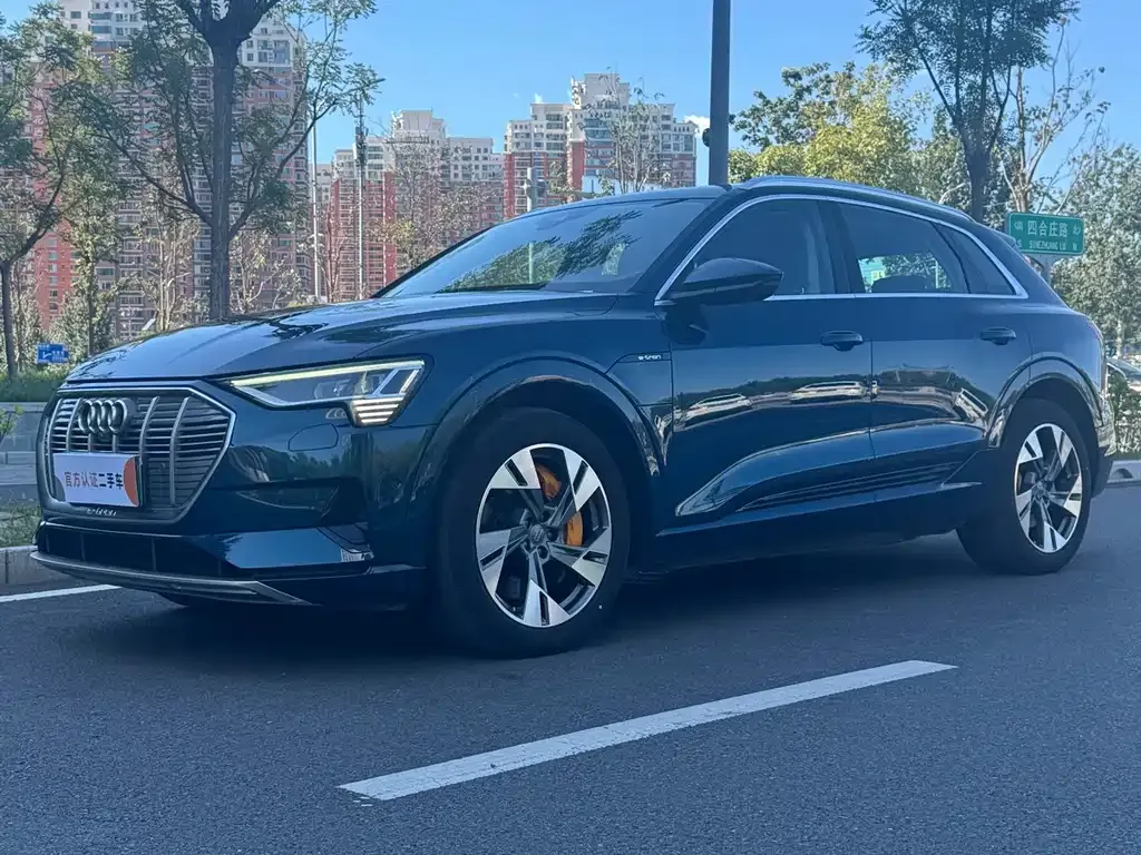 Audi e-tron (Import) — фото 1