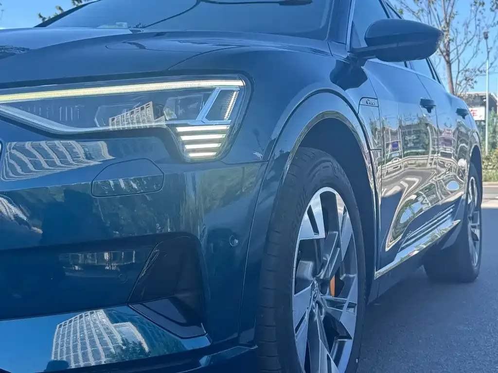 Audi e-tron (Import) — фото 9