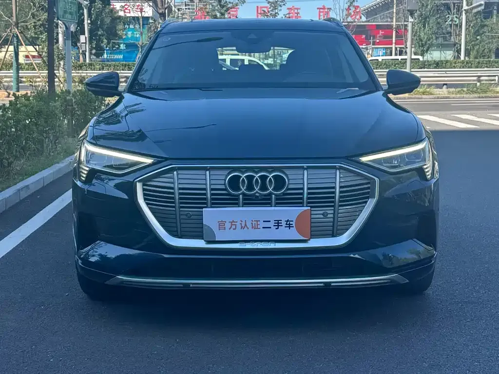 Audi e-tron (Import) — фото 8