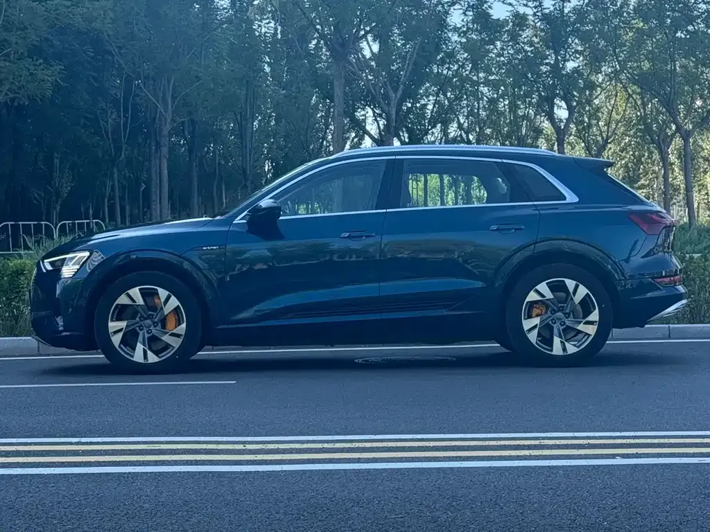 Audi e-tron (Import) — фото 7