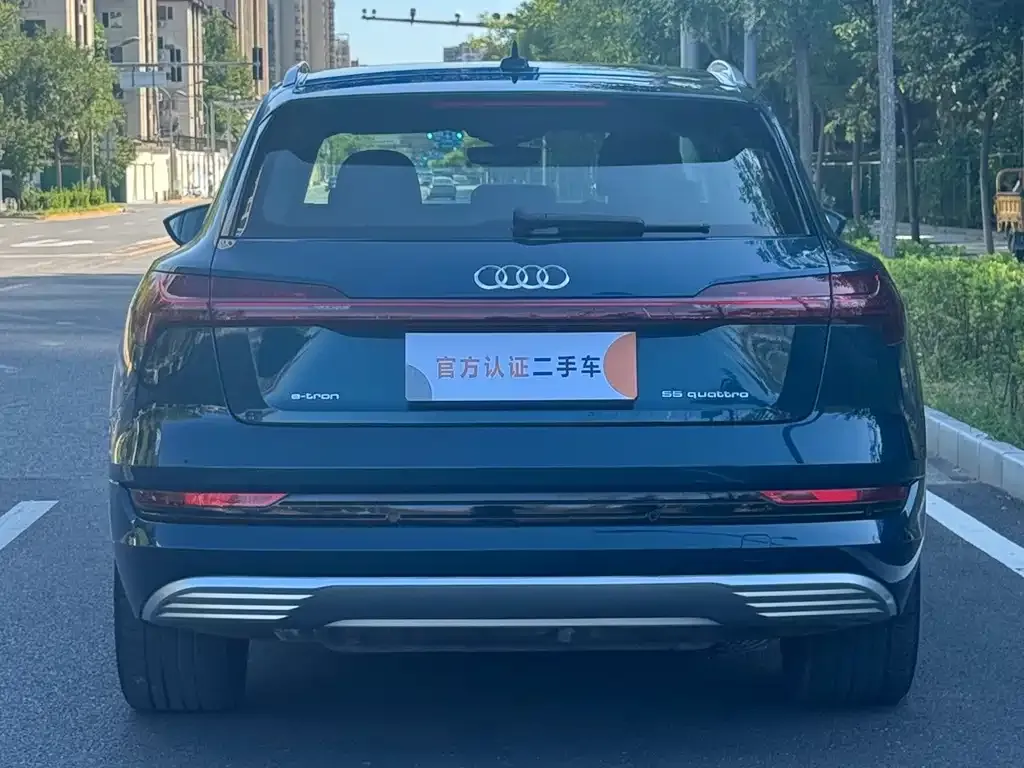 Audi e-tron (Import) — фото 2