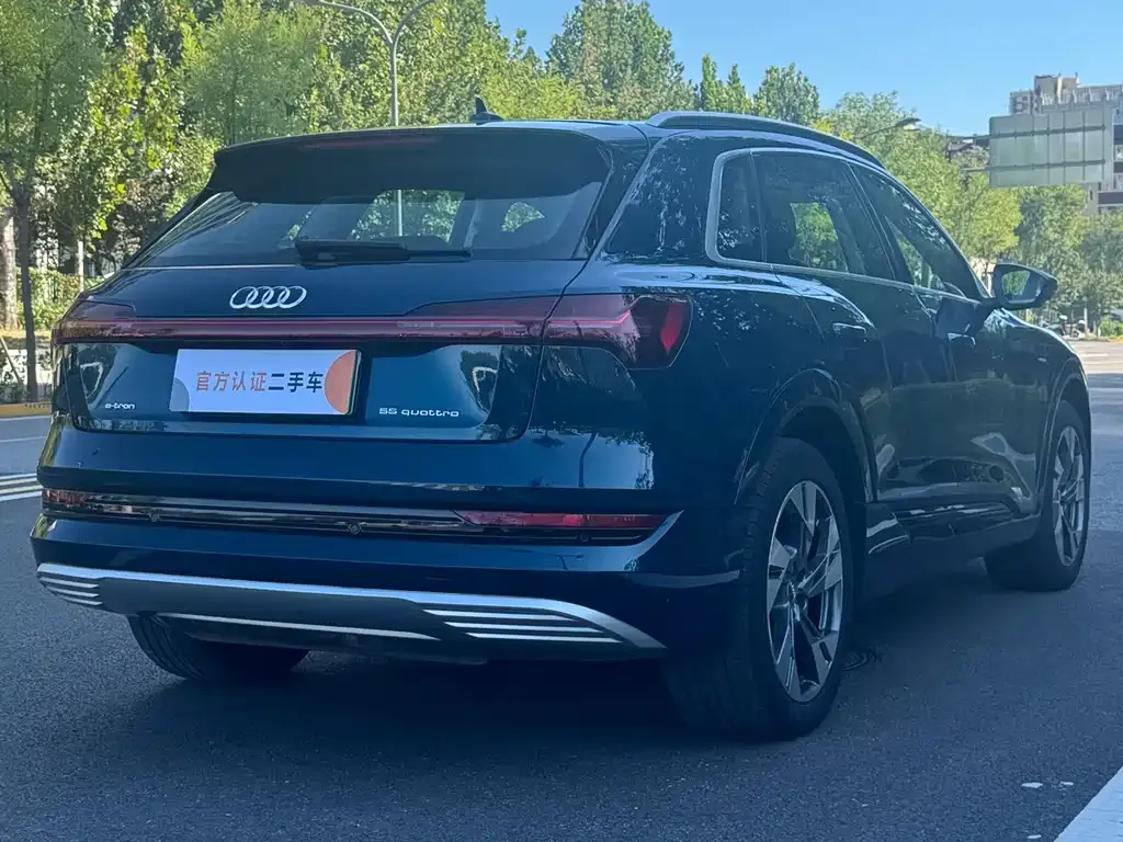 Audi e-tron (Import) — фото 5