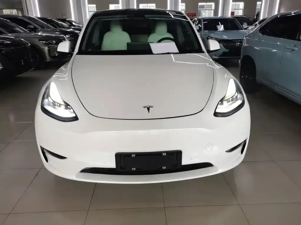 Tesla Model Y — фото 2