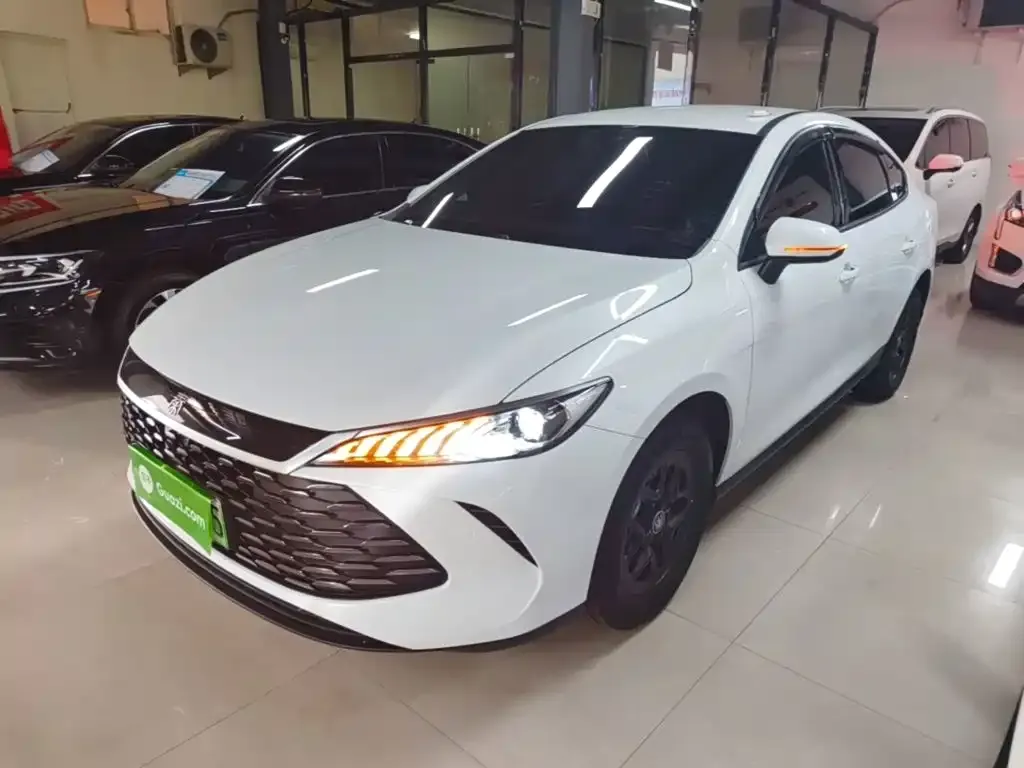 BYD Qin PLUS — фото 10