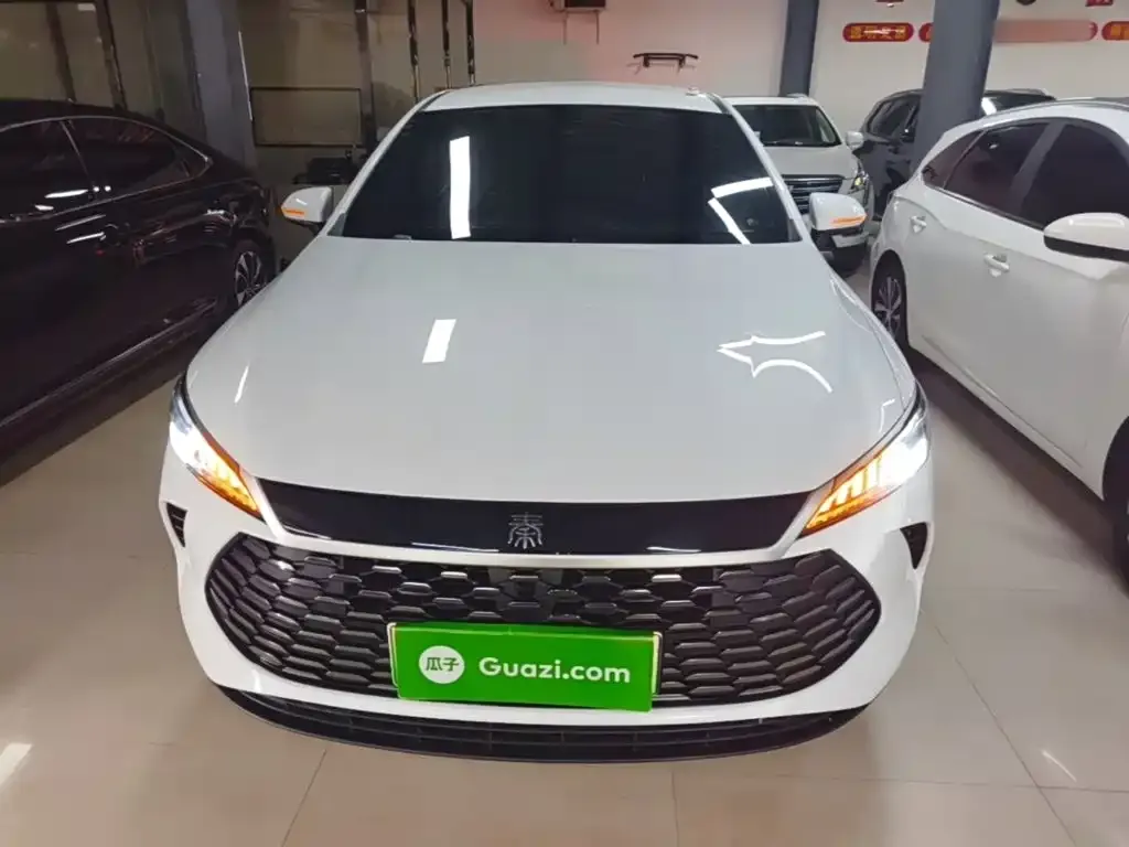 BYD Qin PLUS — фото 8