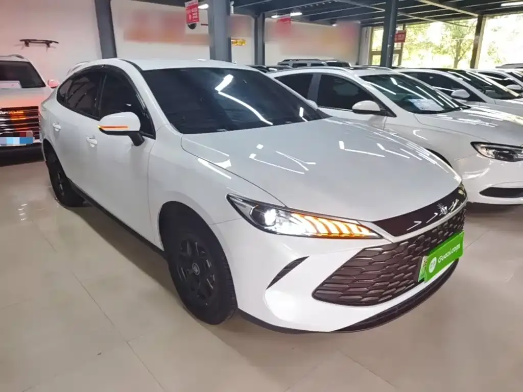 BYD Qin PLUS — фото 7