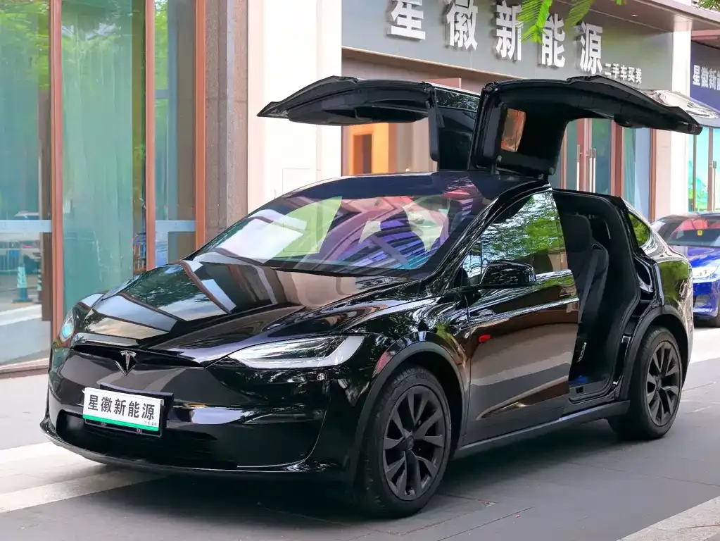 Tesla Model X — фото 1