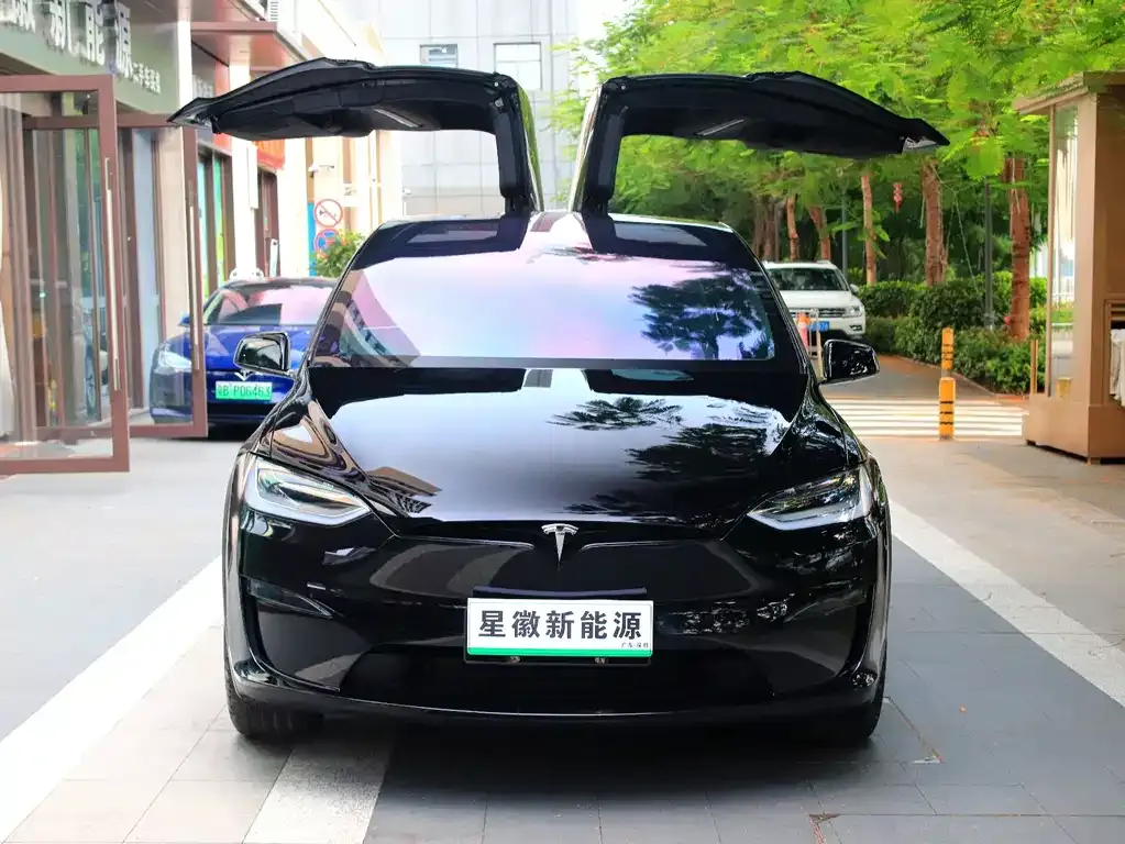 Tesla Model X — фото 4