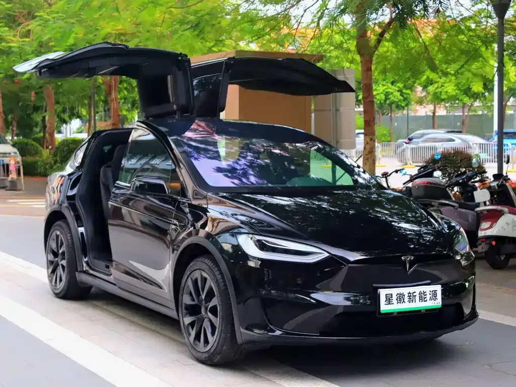 Tesla Model X — фото 5