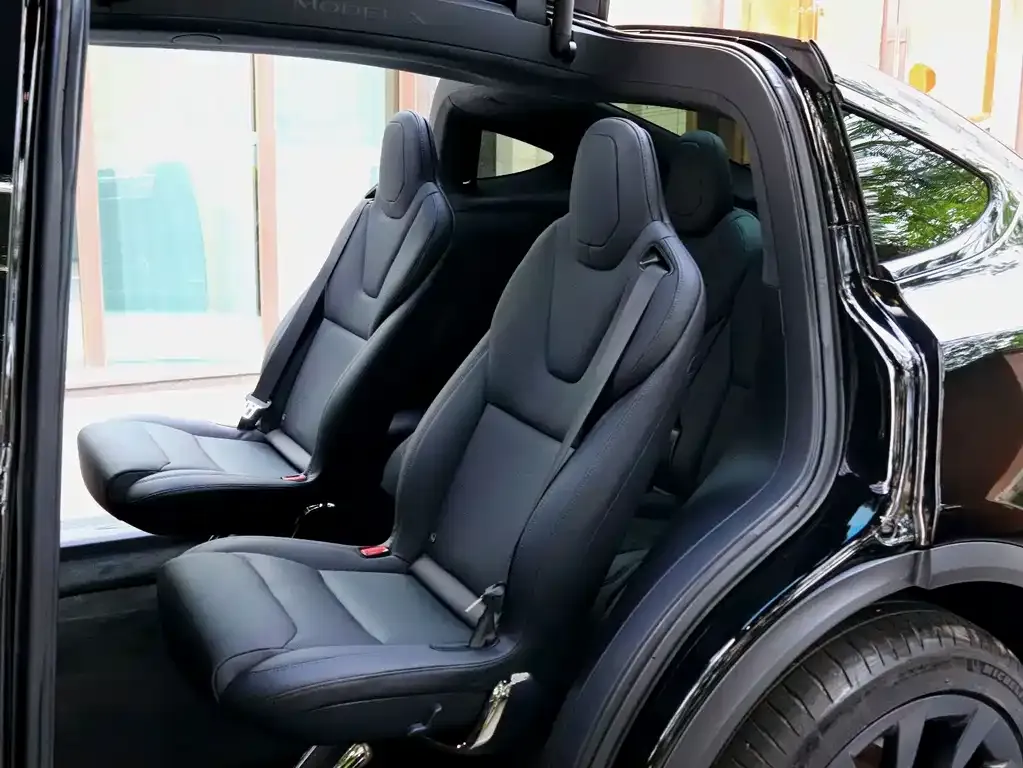 Tesla Model X — фото 9