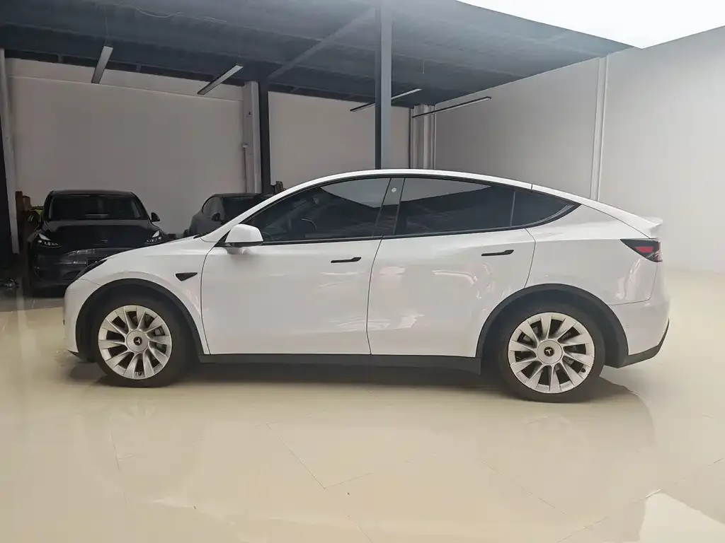 Tesla Model Y — фото 5