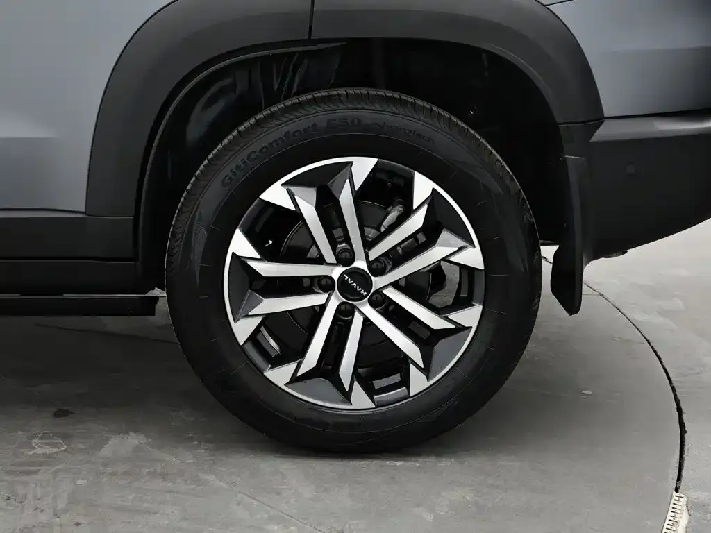 Haval Big Dog — фото 10