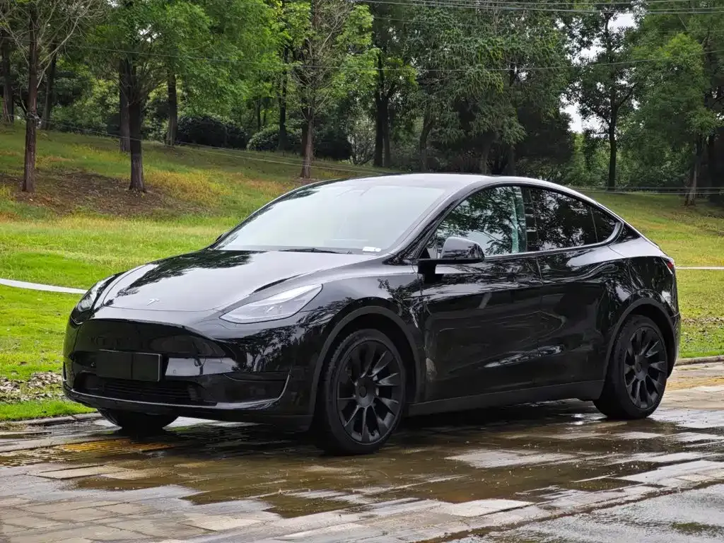 Tesla Model Y — фото 1