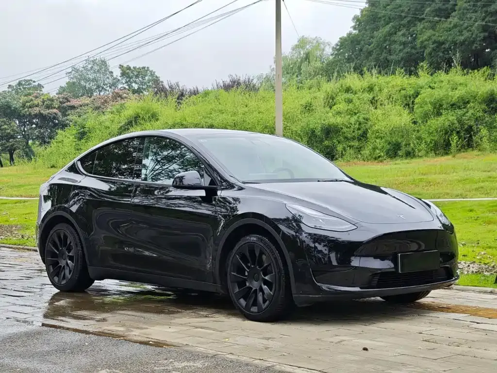 Tesla Model Y — фото 7