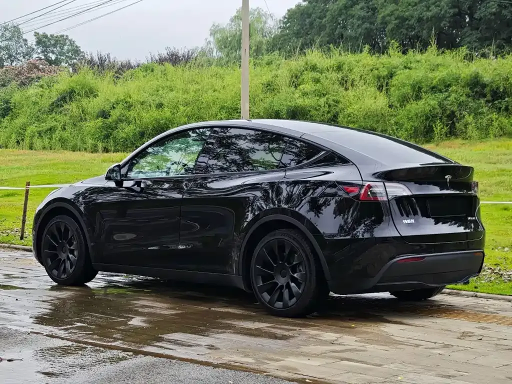 Tesla Model Y — фото 10