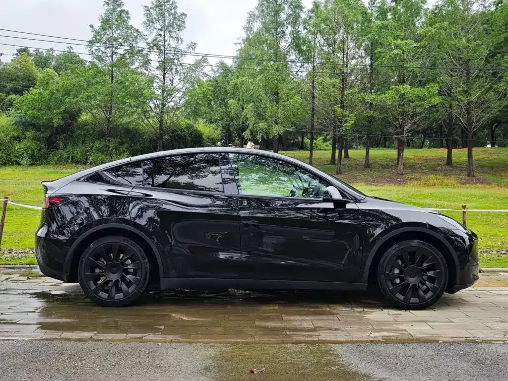 Tesla Model Y — фото 9