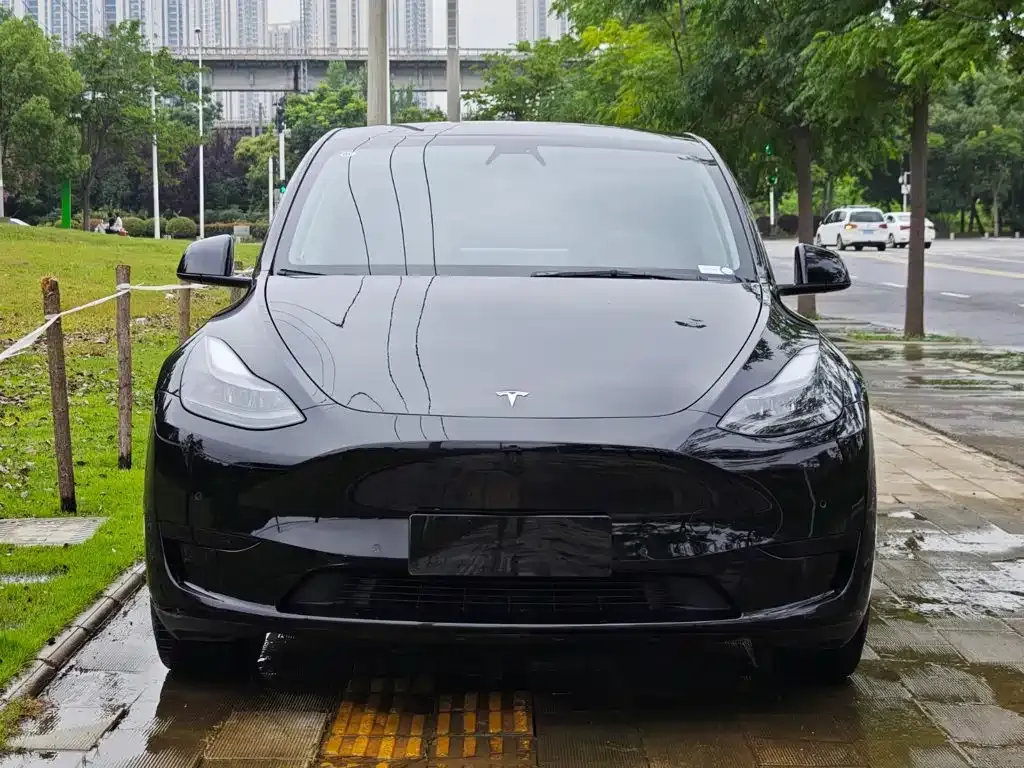 Tesla Model Y — фото 8