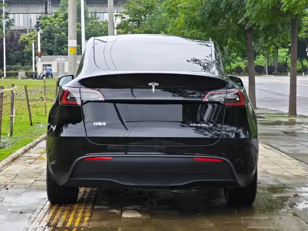 Tesla Model Y — фото 6