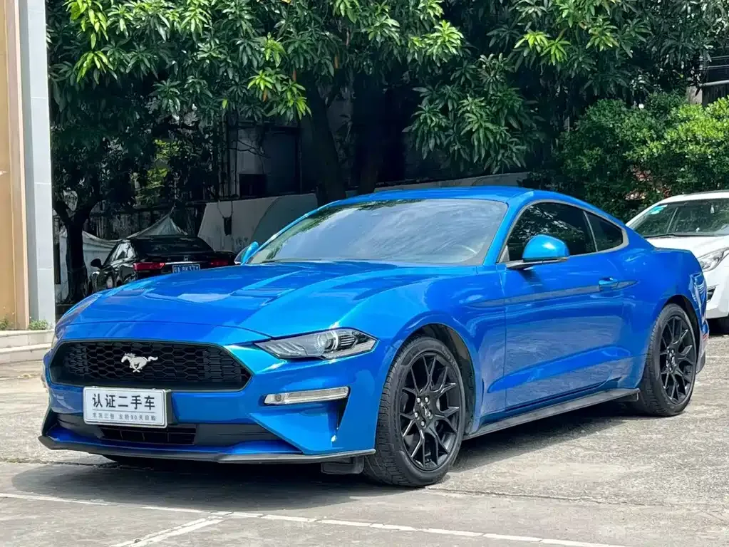 Ford Mustang — фото 1