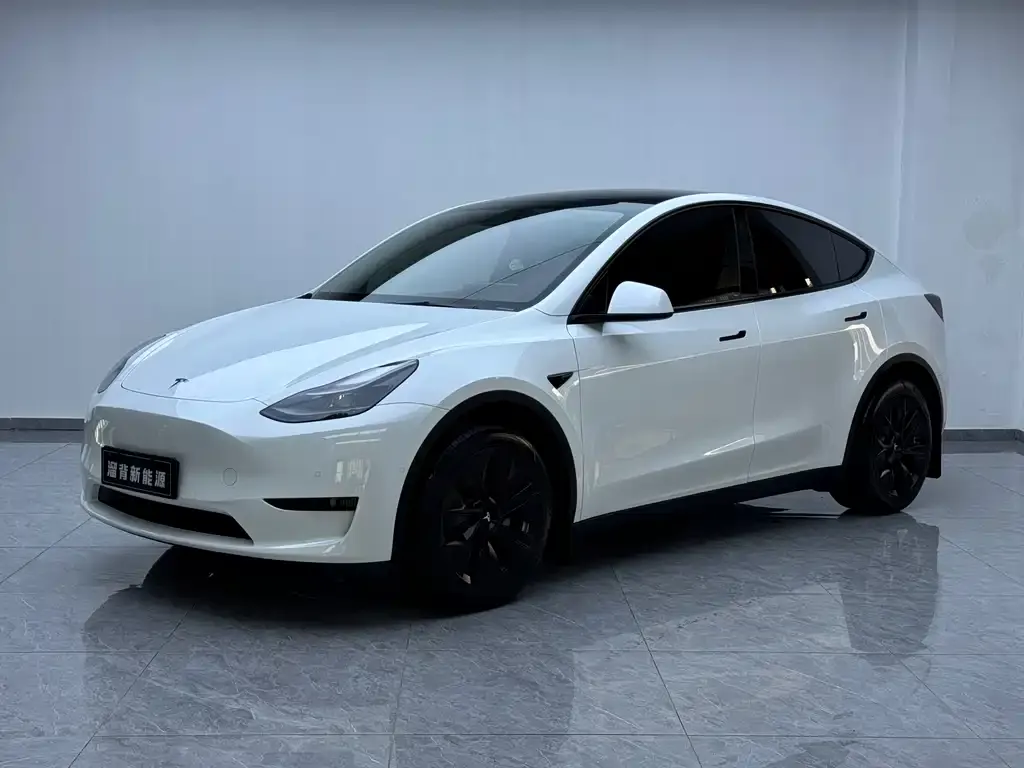 Tesla Model Y — фото 5