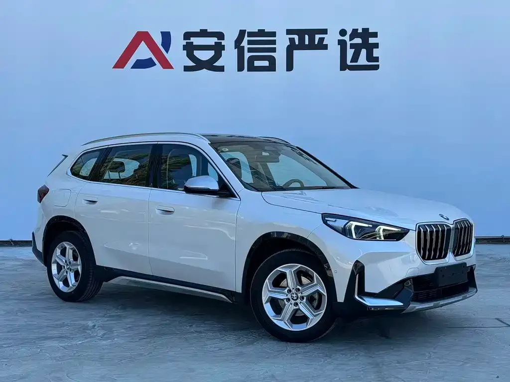 BMW X1 — фото 10