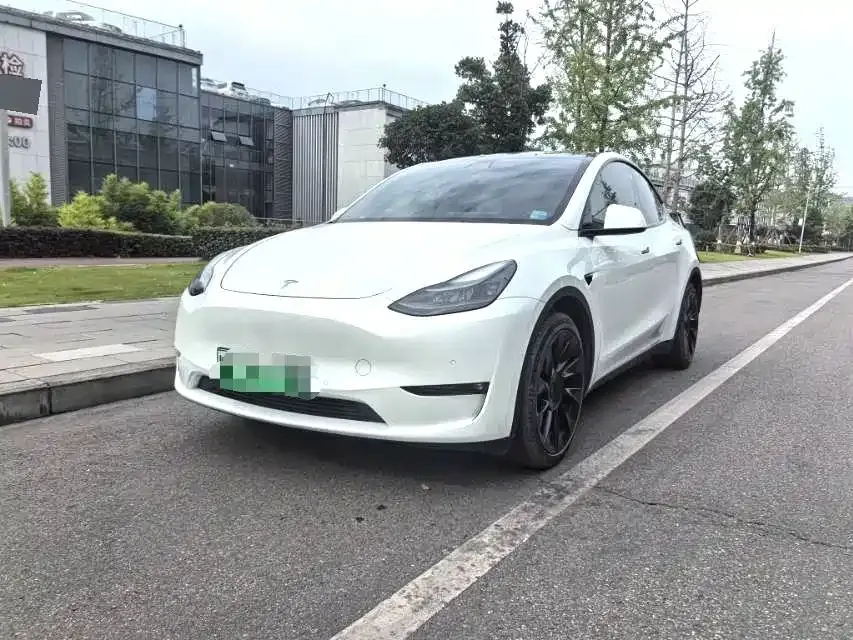 Tesla Model Y — фото 1
