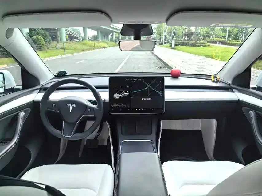 Tesla Model Y — фото 8