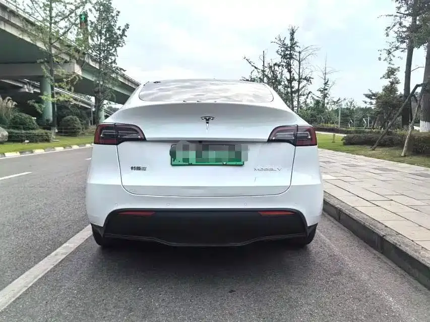 Tesla Model Y — фото 2