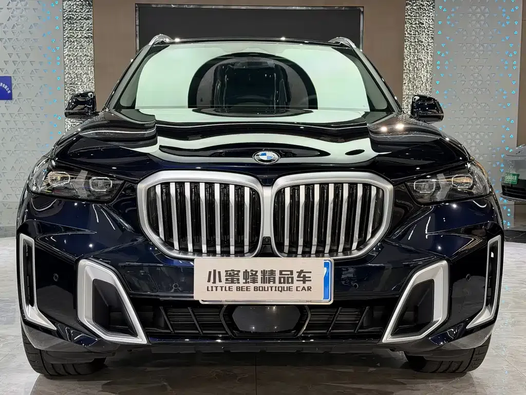 BMW X5 — фото 9