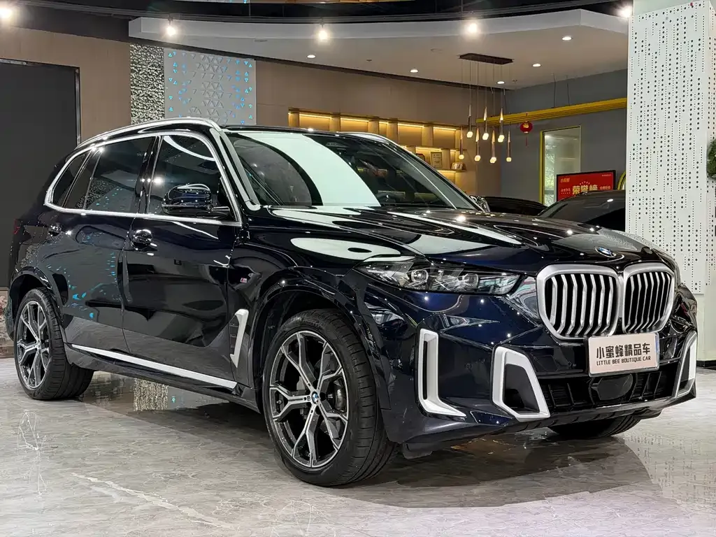 BMW X5 — фото 7