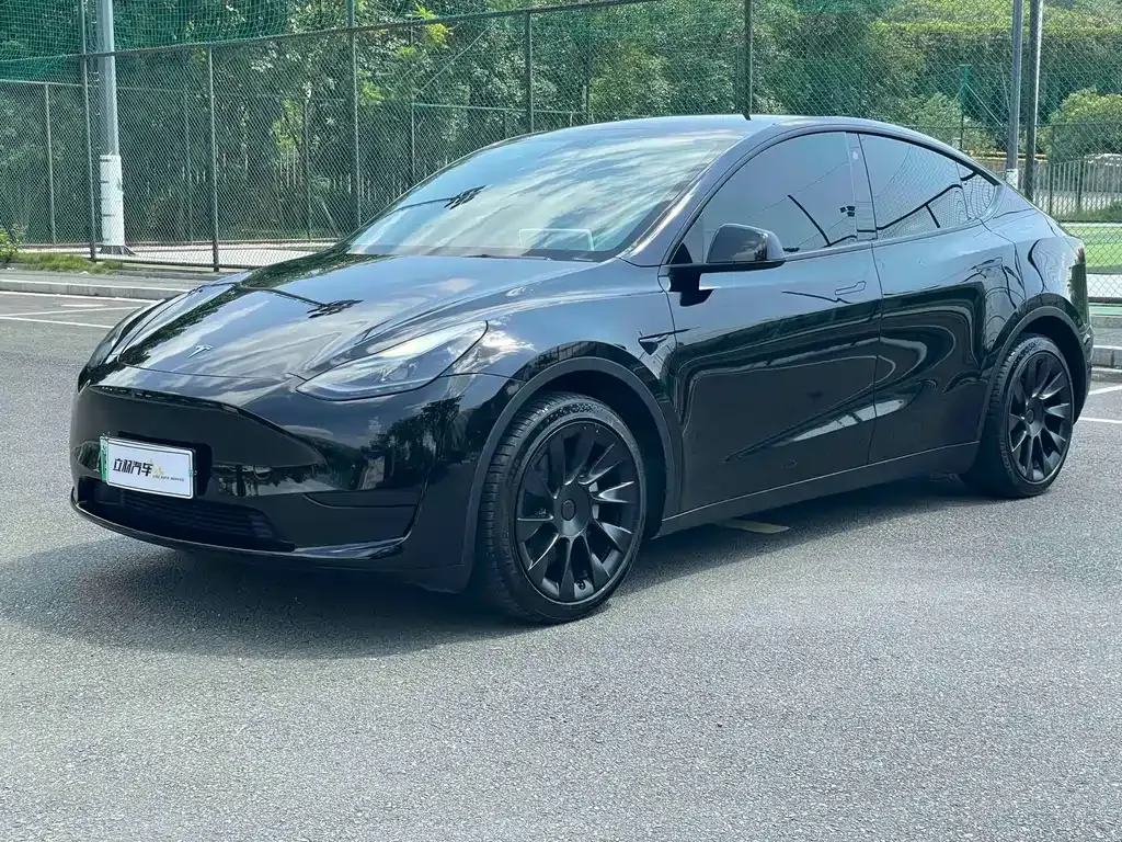 Tesla Model Y — фото 1