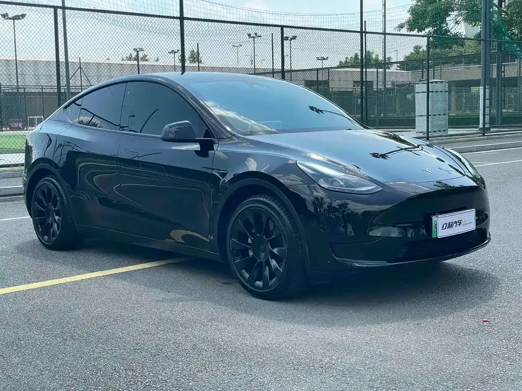Tesla Model Y — фото 8
