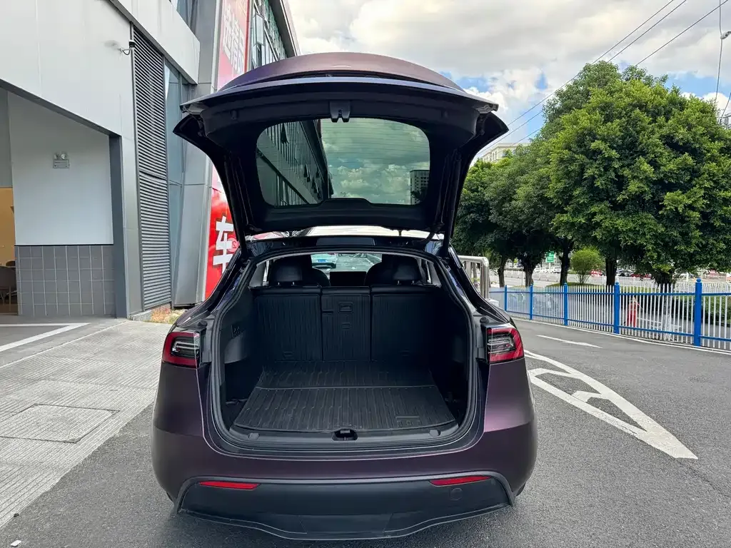 Tesla Model Y — фото 8