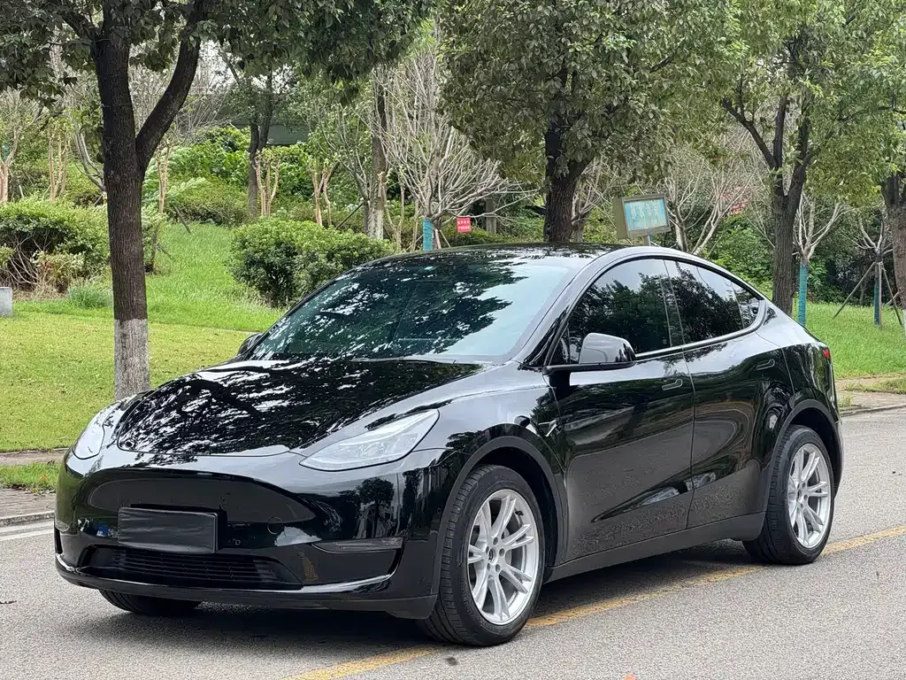 Tesla Model Y — фото 1