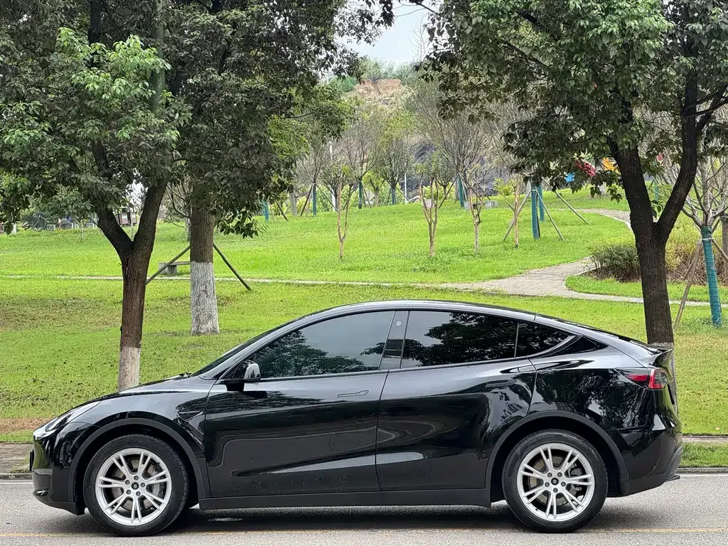 Tesla Model Y — фото 9