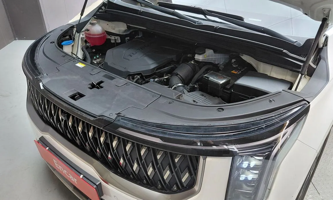 Kia Carnival — фото 10
