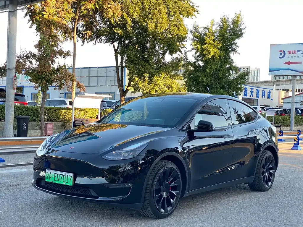 Tesla Model Y — фото 1