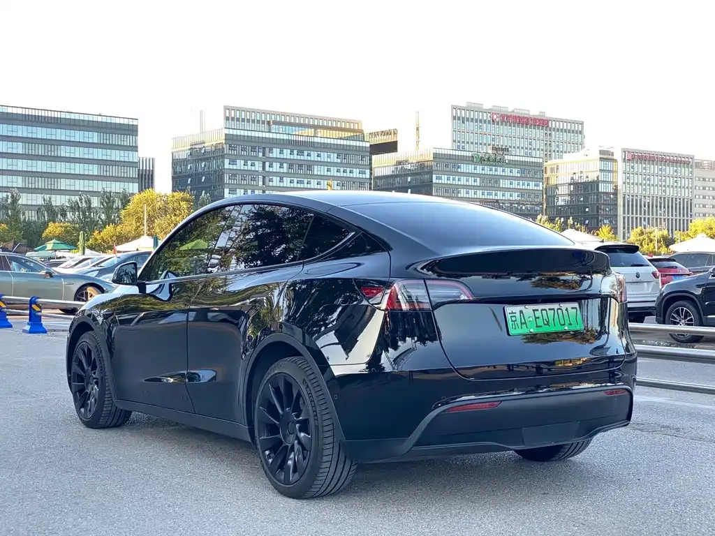 Tesla Model Y — фото 5
