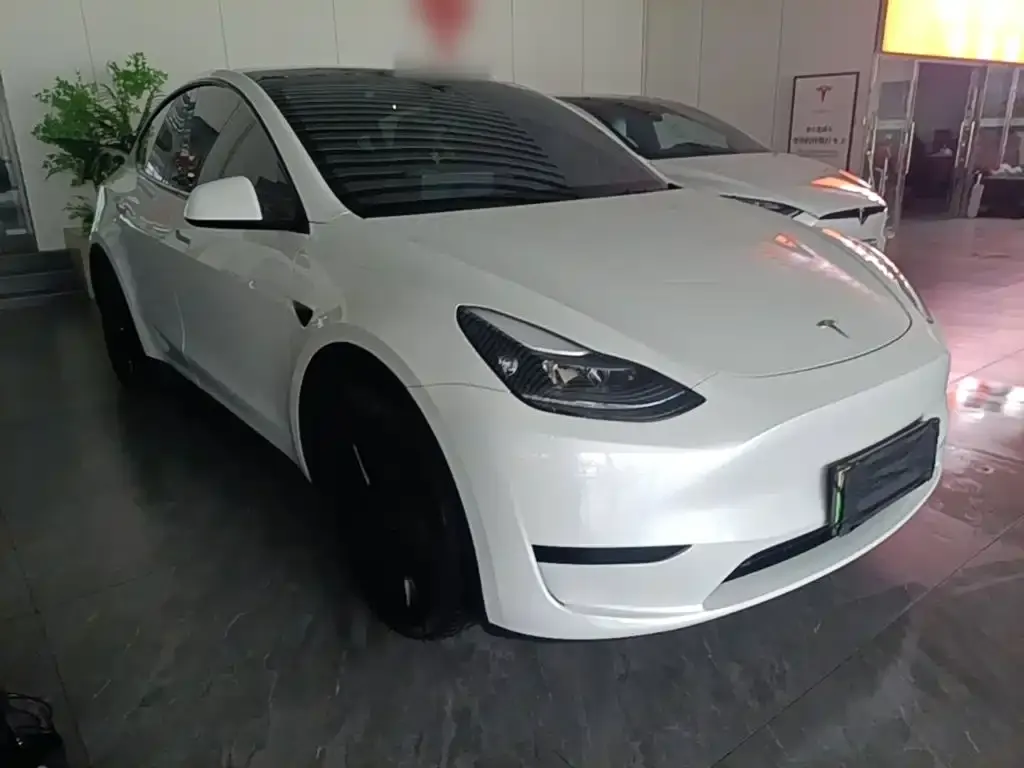 Tesla Model Y — фото 9
