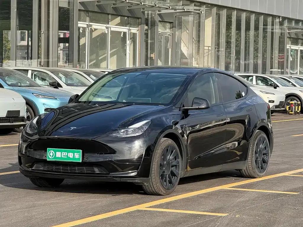 Tesla Model Y — фото 1
