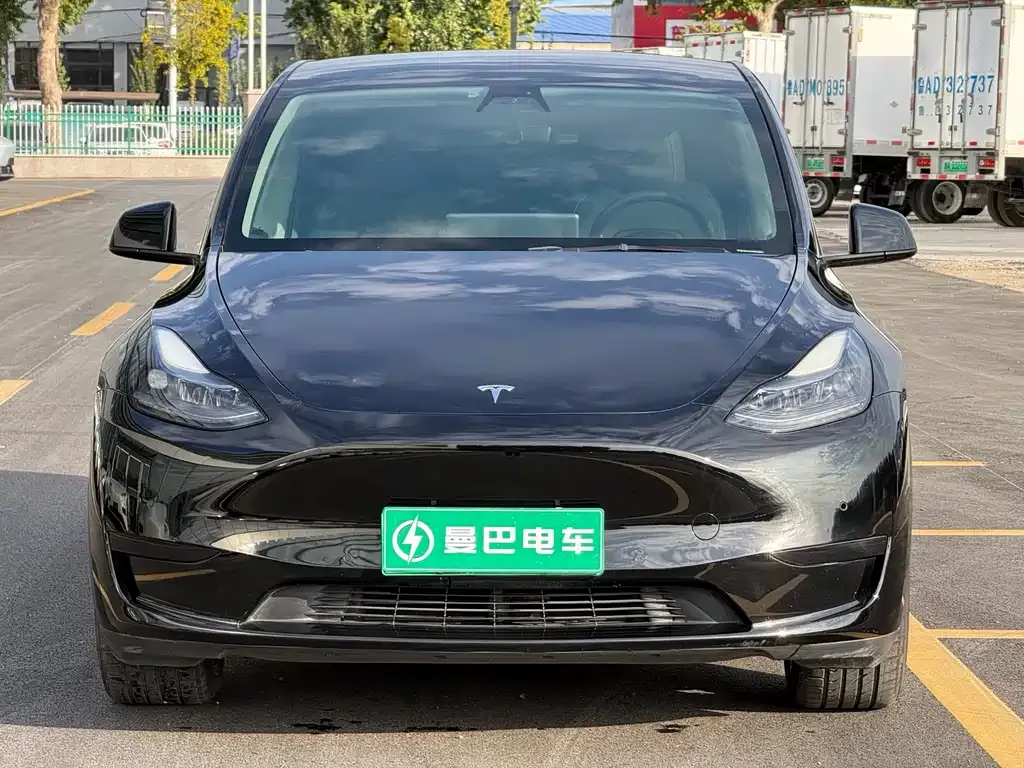 Tesla Model Y — фото 3