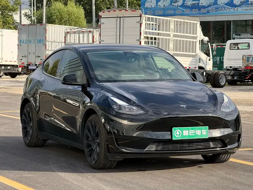 Tesla Model Y — фото 10