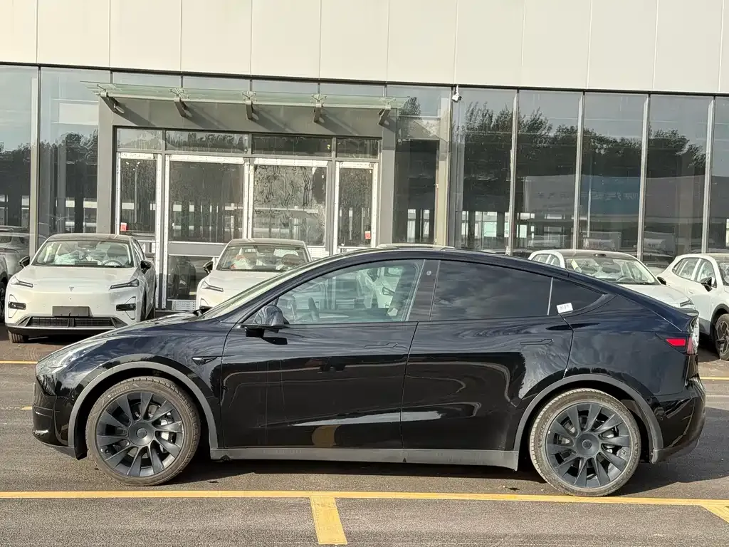 Tesla Model Y — фото 7