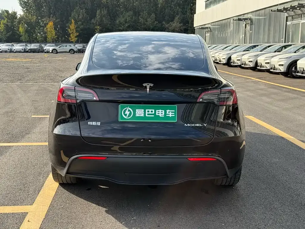 Tesla Model Y — фото 8