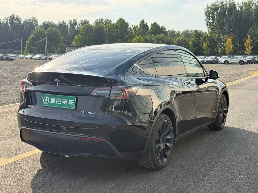 Tesla Model Y — фото 9