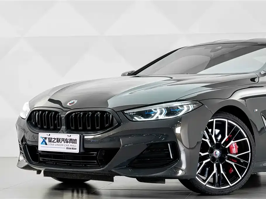 BMW 8 Series — фото 10