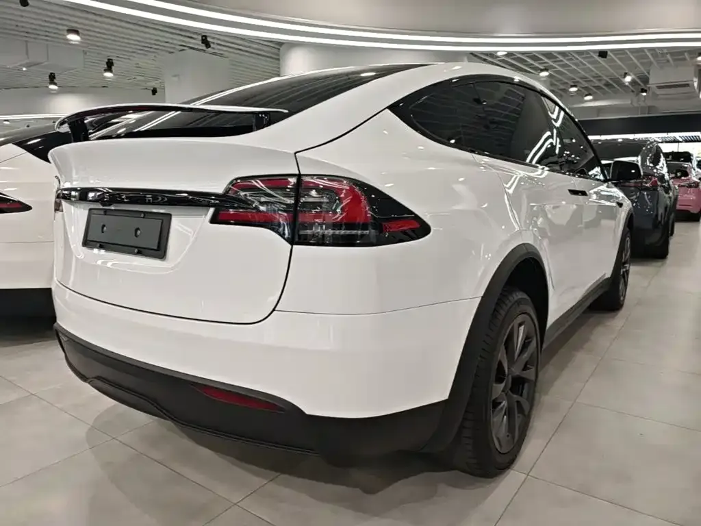 Tesla Model X — фото 6