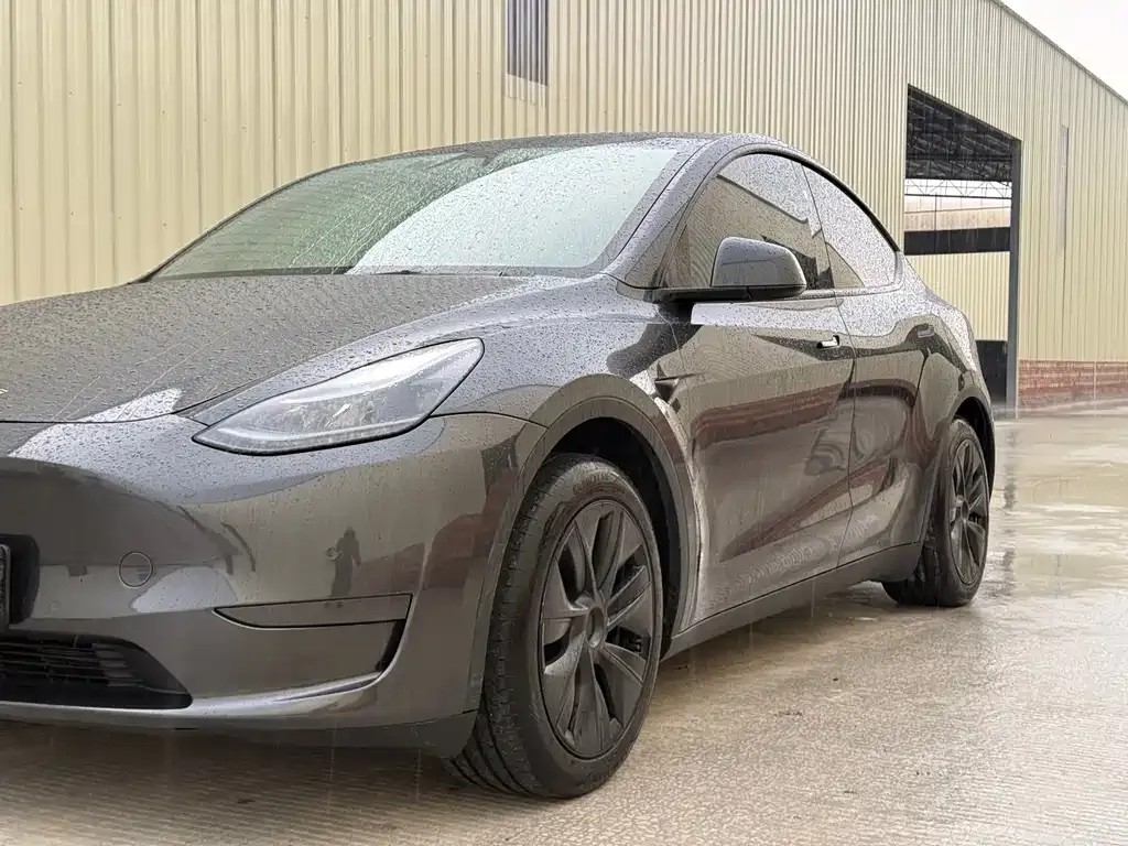 Tesla Model Y — фото 10