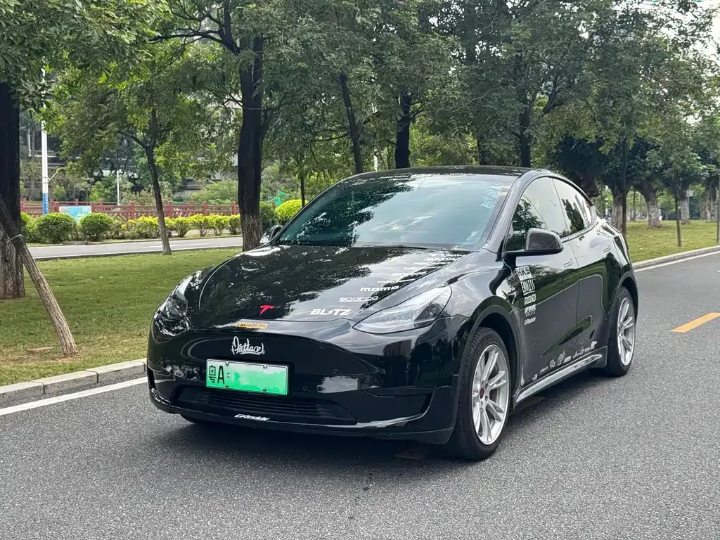 Tesla Model Y — фото 1
