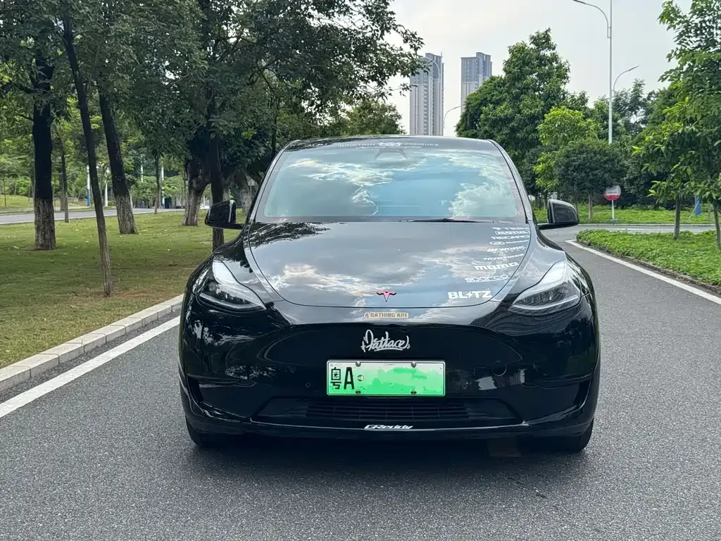 Tesla Model Y — фото 4